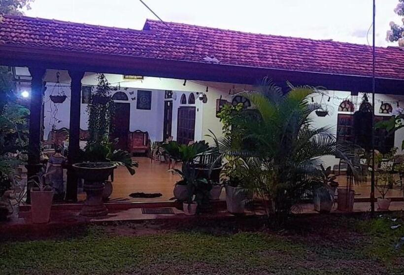 Bed and Breakfast Ovi House