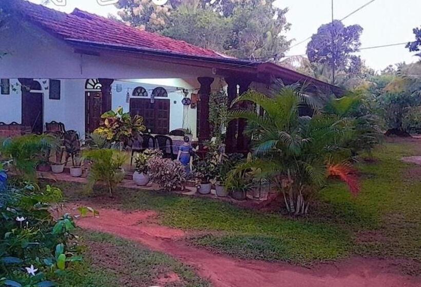 Bed and Breakfast Ovi House