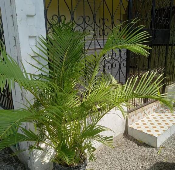 تختخواب و صبحانه Renton View