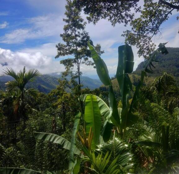 호스텔 Helly Mount Inn