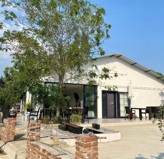 تختخواب و صبحانه Casa Mora Zeytinli