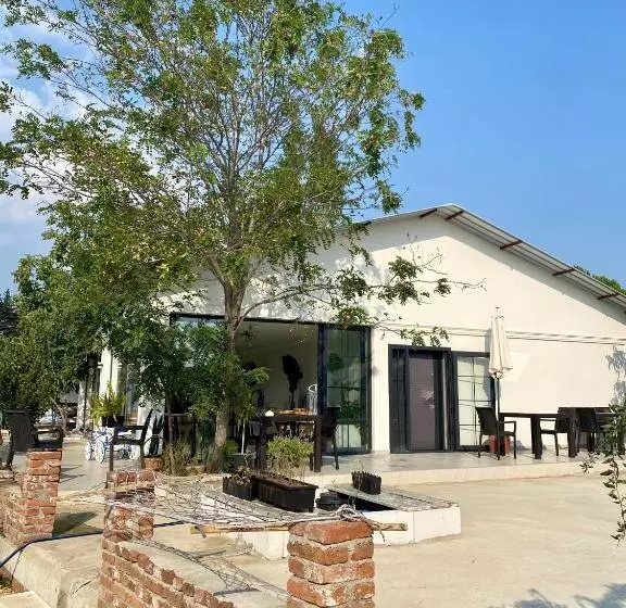 Aamiaismajoitus (B&B) Casa Mora Zeytinli