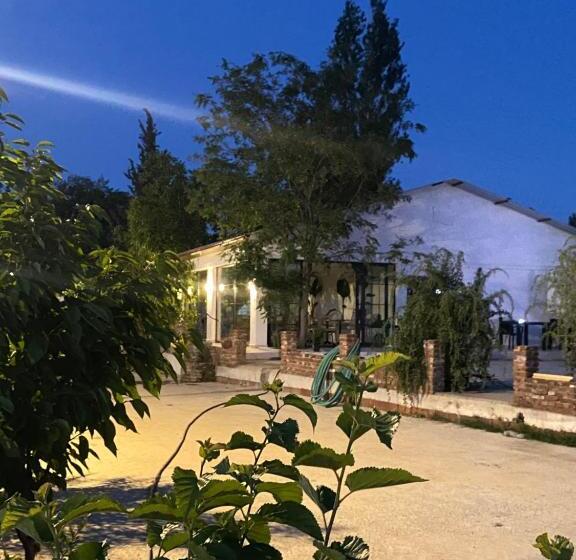 تختخواب و صبحانه Casa Mora Zeytinli