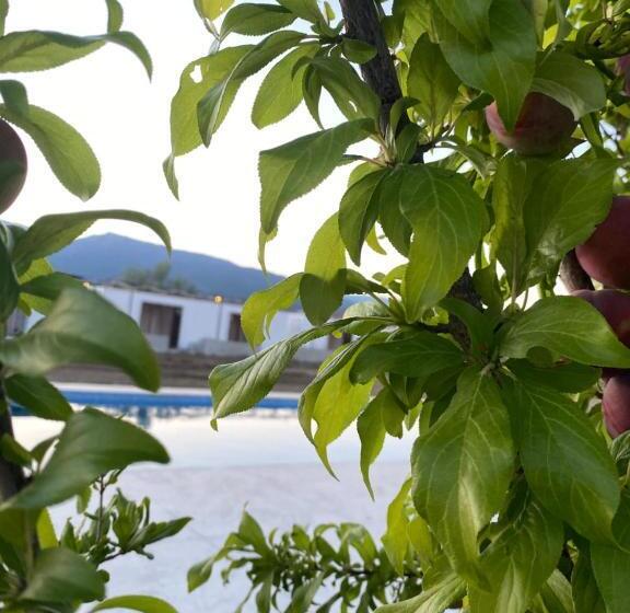 تختخواب و صبحانه Casa Mora Zeytinli