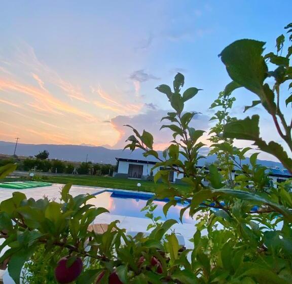 تختخواب و صبحانه Casa Mora Zeytinli