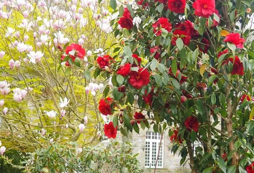 ベッドアンドブレックファースト Chambre D Hôtes De L île