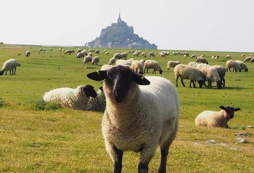 ベッドアンドブレックファースト Chambre D Hôtes De L île