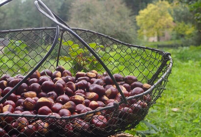 Bed and Breakfast Chambre D Hôtes De L île