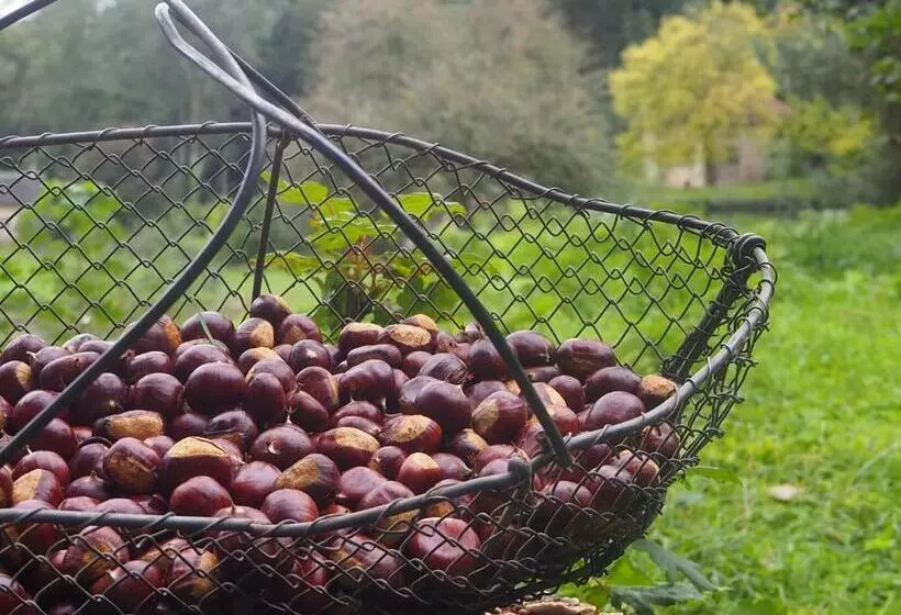 ベッドアンドブレックファースト Chambre D Hôtes De L île