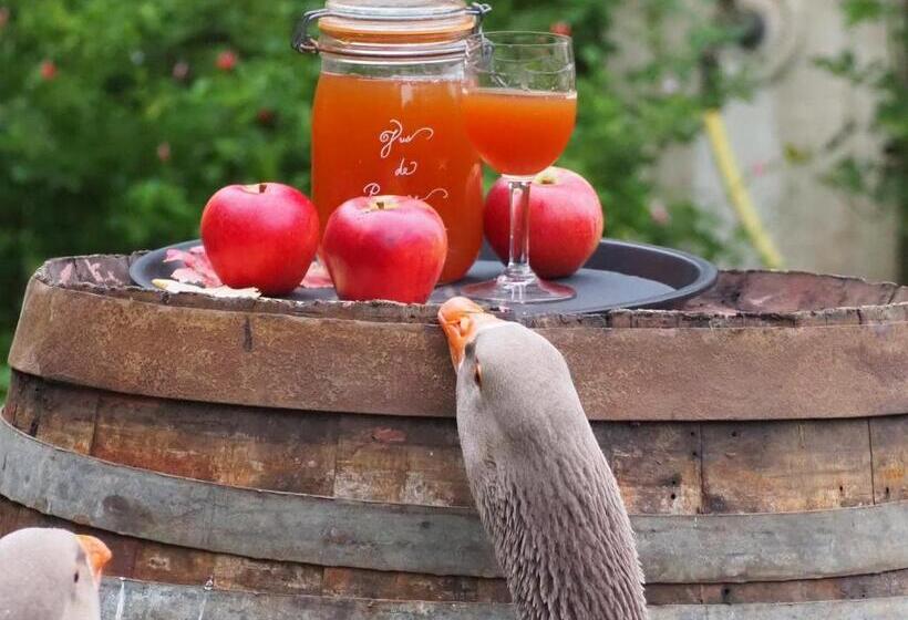 Bed and Breakfast Chambre D Hôtes De L île