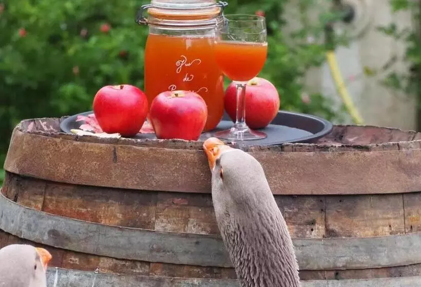 ベッドアンドブレックファースト Chambre D Hôtes De L île