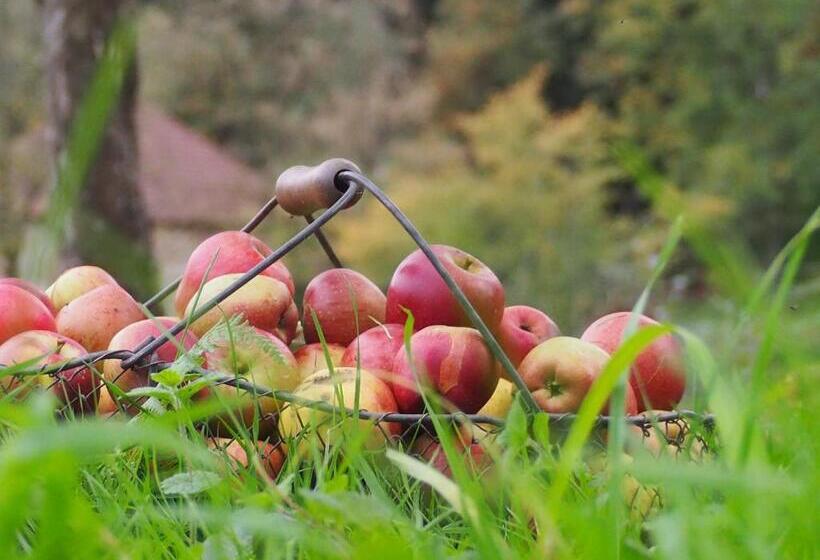 Bed and Breakfast Chambre D Hôtes De L île