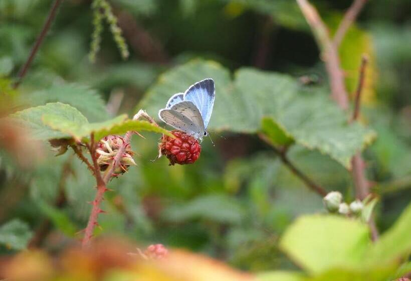 Bed and Breakfast Chambre D Hôtes De L île