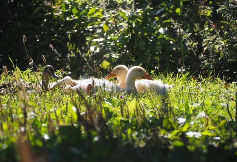 Bed and Breakfast Chambre D Hôtes De L île