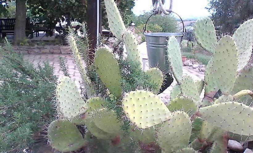 צימר La Tenuta Fichi D India