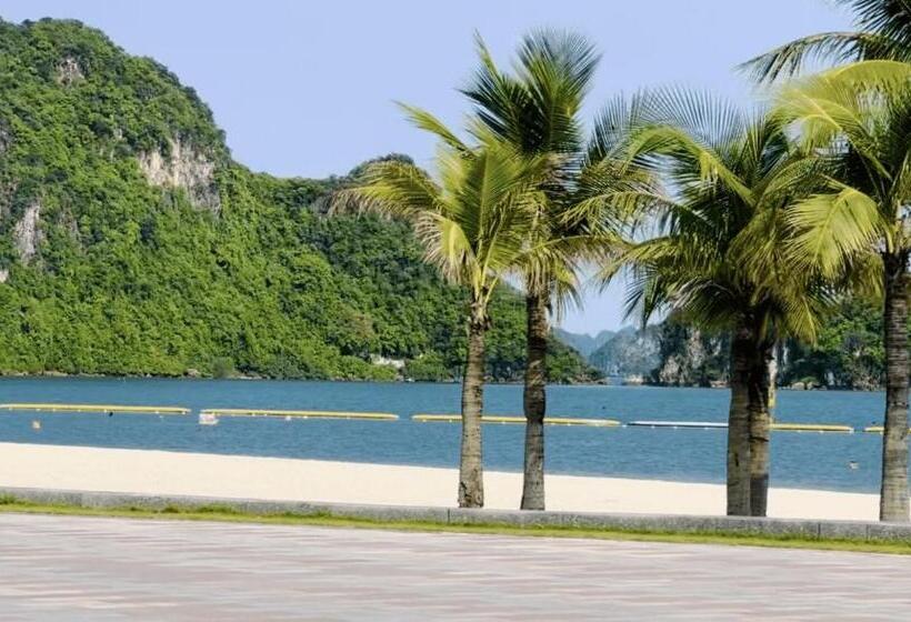 پانسیون Kim An Homestay, Bar & Cafe