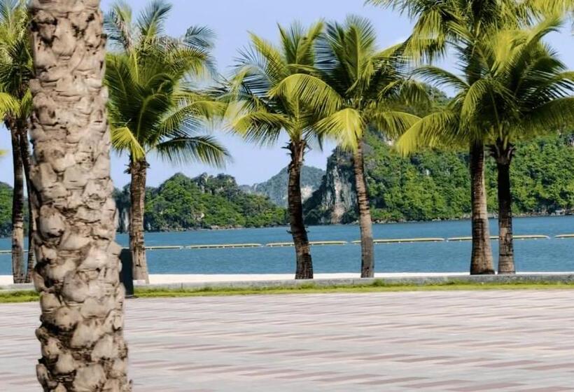 پانسیون Kim An Homestay, Bar & Cafe