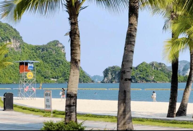 پانسیون Kim An Homestay, Bar & Cafe