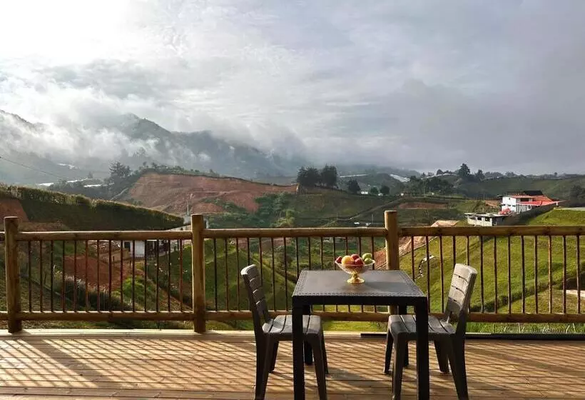 ベッドアンドブレックファースト Fénix