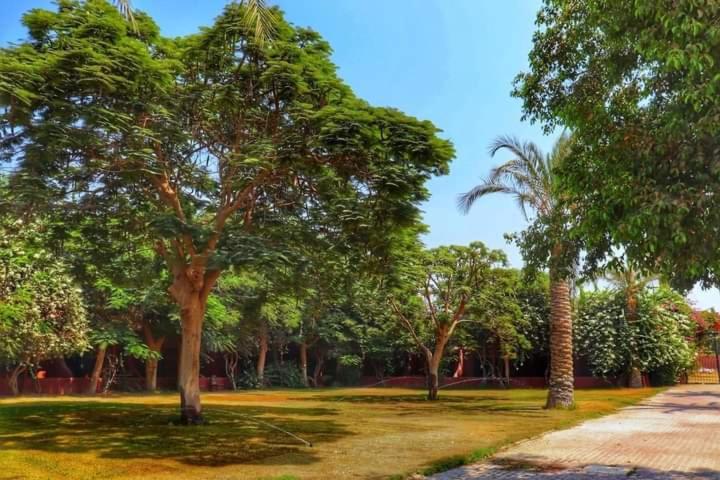 هتل King Ahmose Giza For Traveling