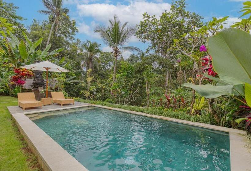 بنسيون Campuhan Guesthouse