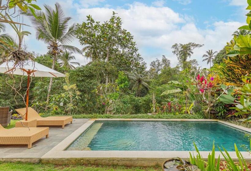 بنسيون Campuhan Guesthouse