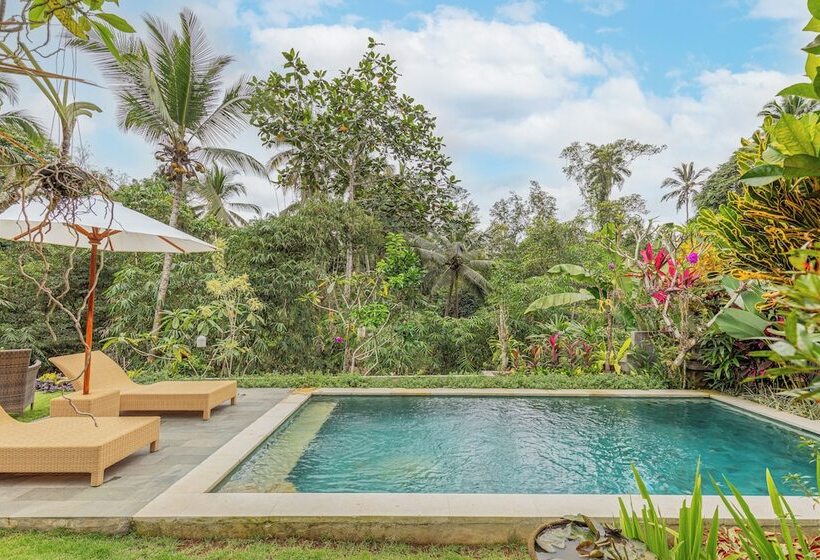 بنسيون Campuhan Guesthouse