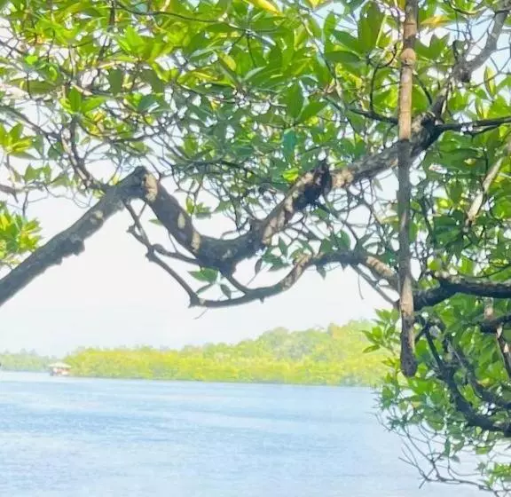 Majatalo Sri Lanka Wennappuwa Villa D S R