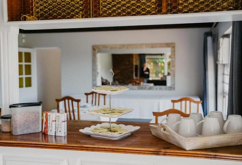 住宿加早餐 Castillo Rio