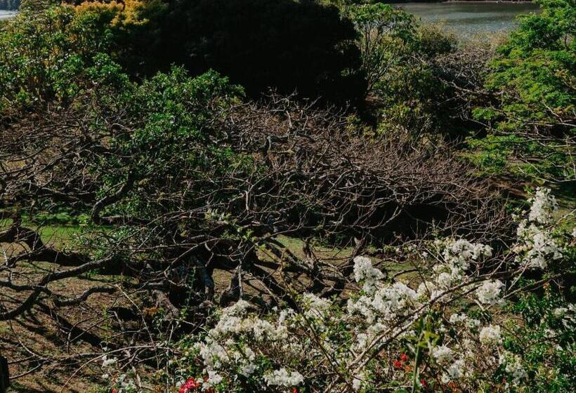 住宿加早餐 Castillo Rio