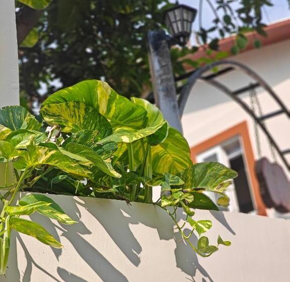 Pensão Golden Bamboo