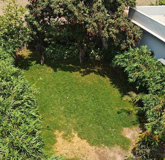 Pensão Golden Bamboo