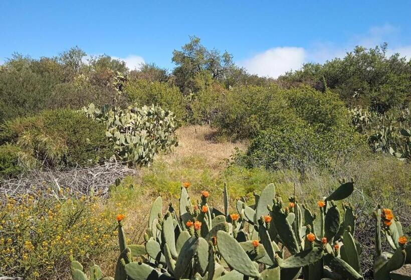 پانسیون Un Jardin Al Mar