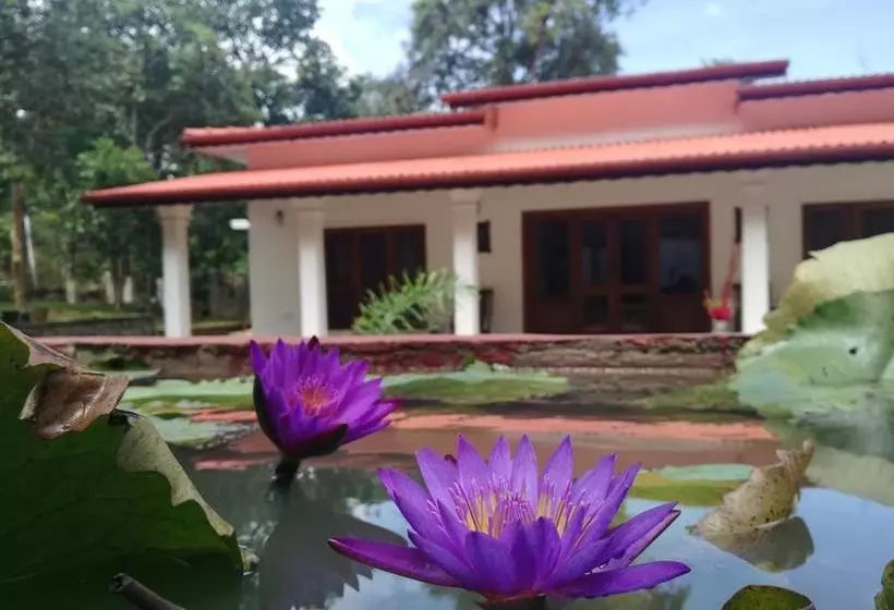 Centurion Resort