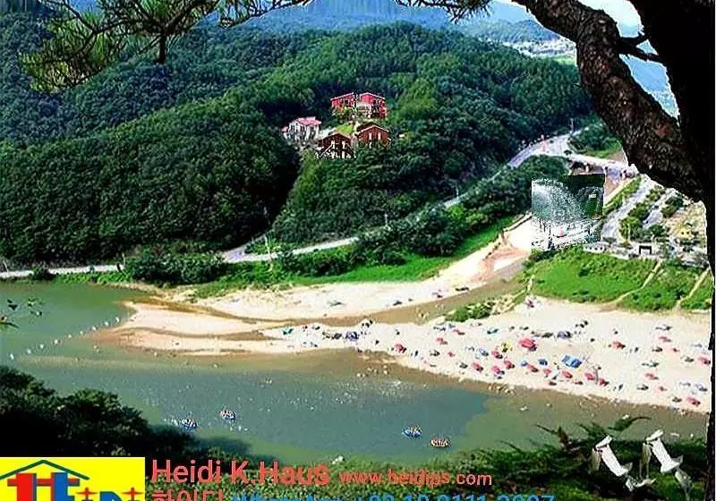 Heidi Korea