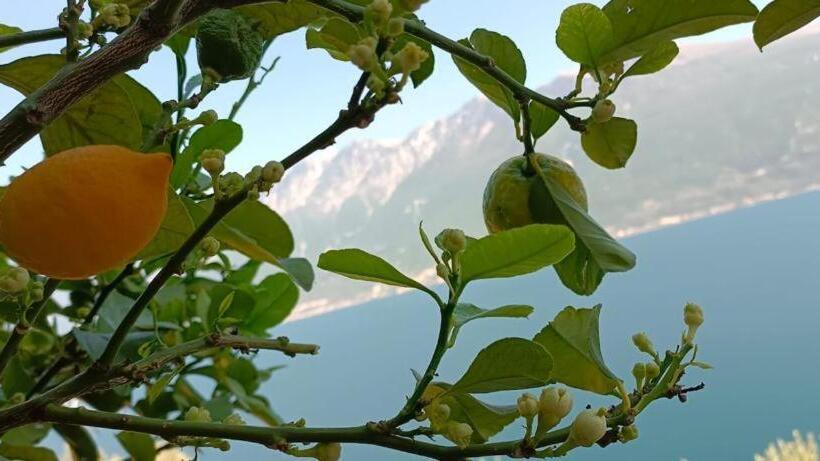 호텔 La Terrazzina