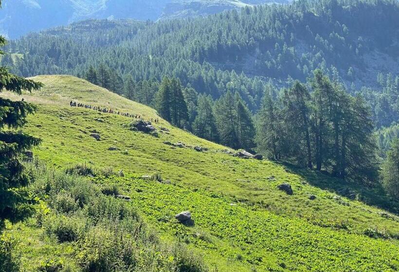فندق Rifugio Guide Frachey