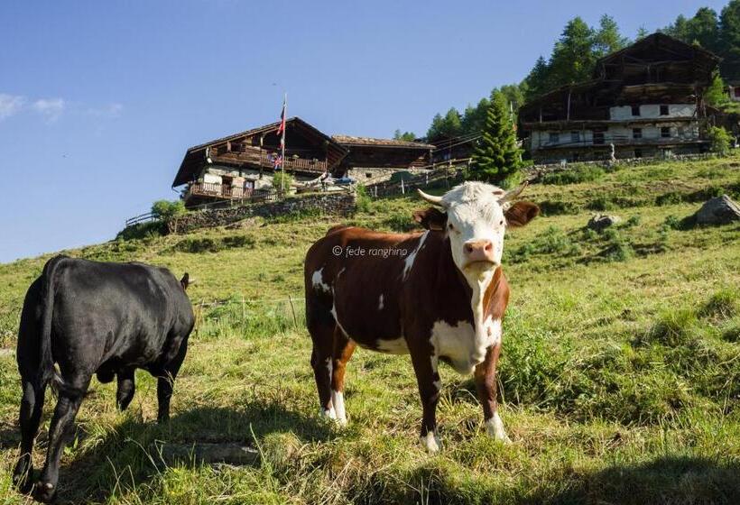 فندق Rifugio Guide Frachey
