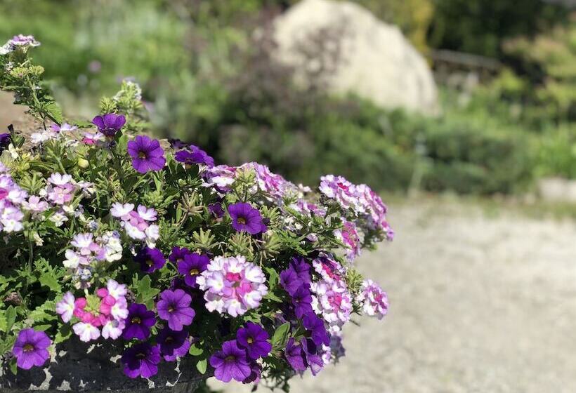 Motel Adventure The Bruce Inn   Recently Renovated With Outdoor Hot Tub