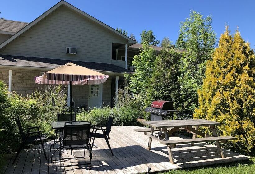 Motel Adventure The Bruce Inn   Recently Renovated With Outdoor Hot Tub