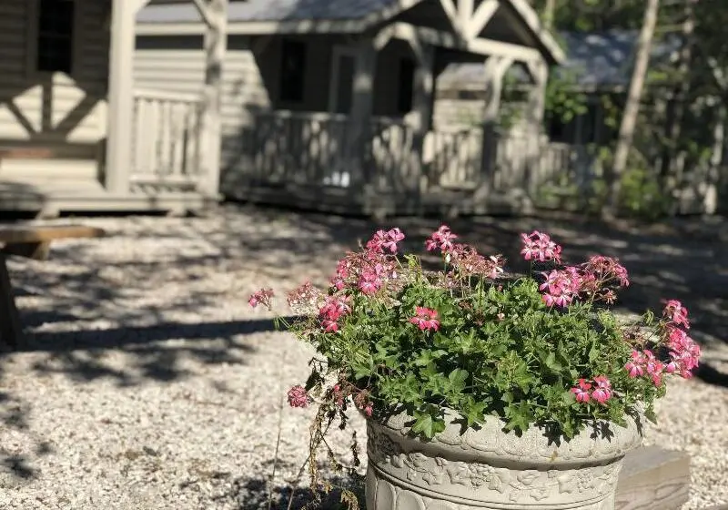 モーテル Adventure The Bruce Inn   Recently Renovated With Outdoor Hot Tub