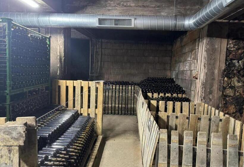 호텔 Domeniile Clos Des Colombes