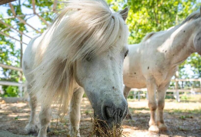 호텔 Domeniile Clos Des Colombes