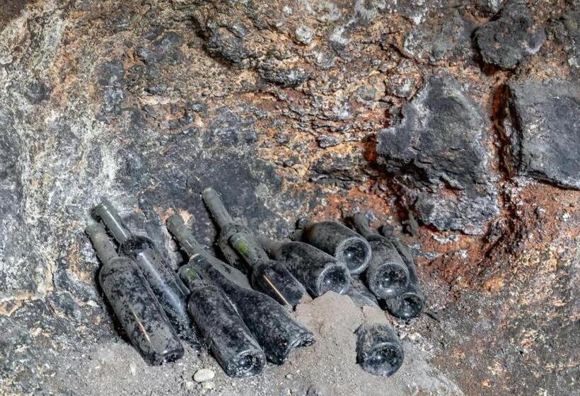 호텔 Domeniile Clos Des Colombes