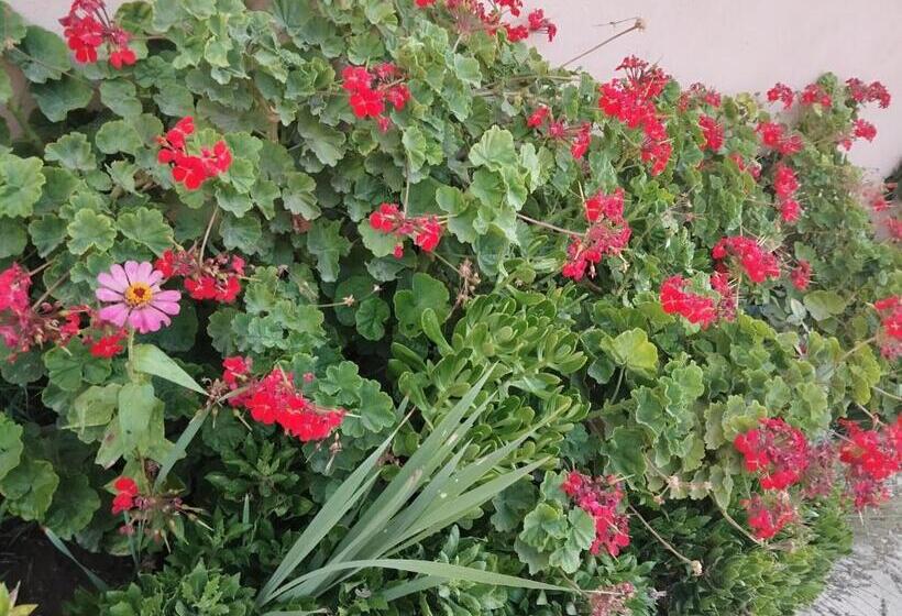 Pensiune Country House Savalan дача савалан