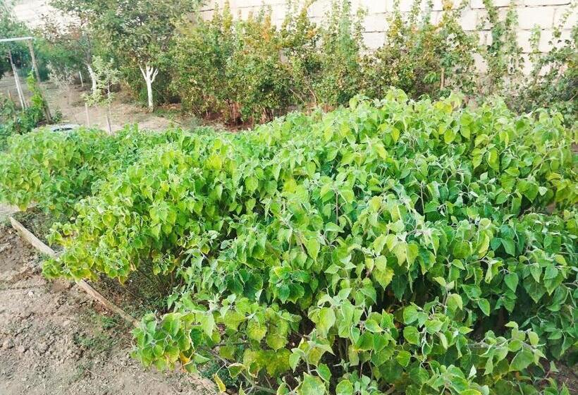 Pensiune Country House Savalan дача савалан