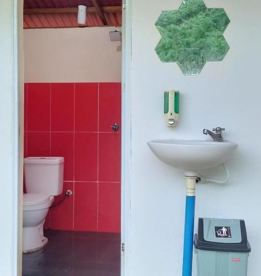 Beach Camp Bed & Breakfast