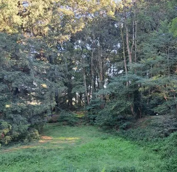 Aamiaismajoitus (B&B) Lavallade12