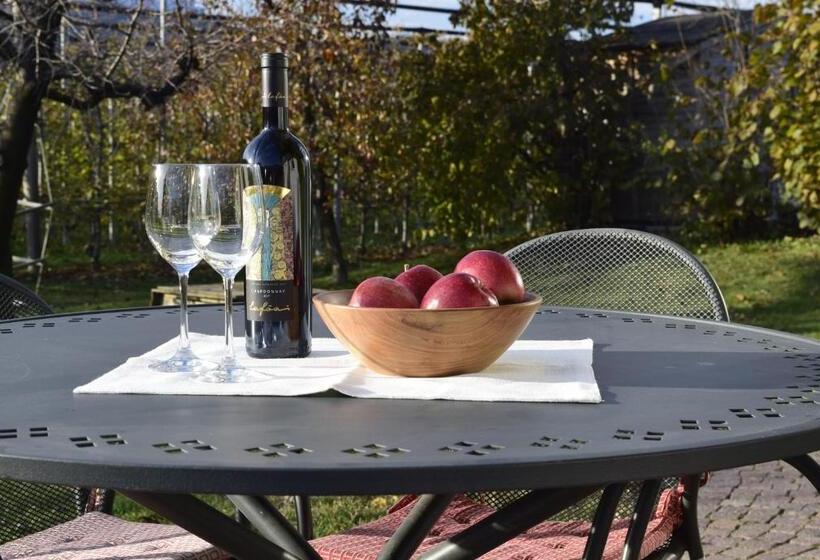 هتل Appartment Gut Wendlandt