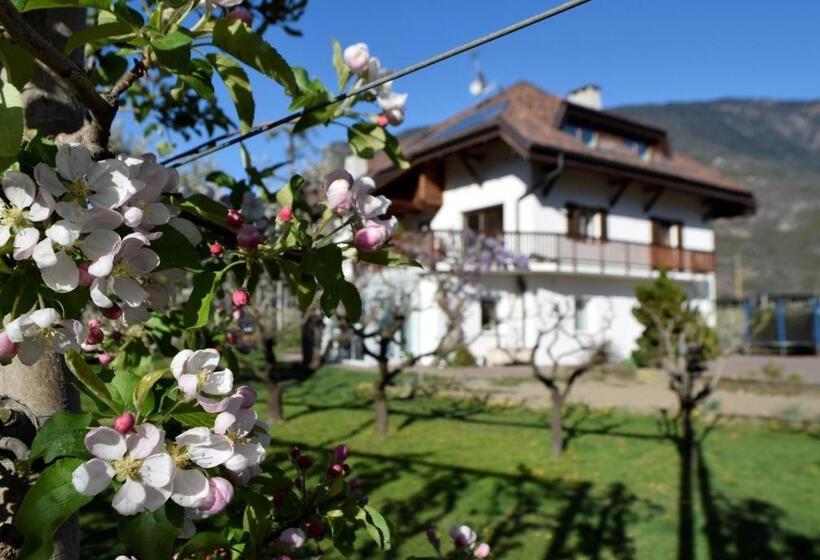 هتل Appartment Gut Wendlandt